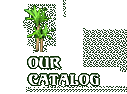 Our catalog